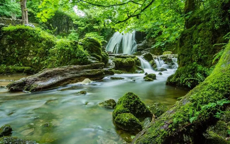 可靠性智慧高质量